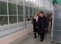 Співпраця університету з підприємствами регіону: перспективи розвитку